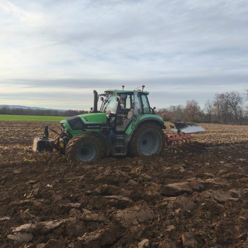 WhatsApp Image 2025-12-15 at 08.44.36