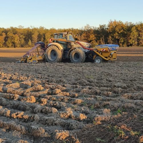 WhatsApp Image 2025-12-15 at 08.45.33