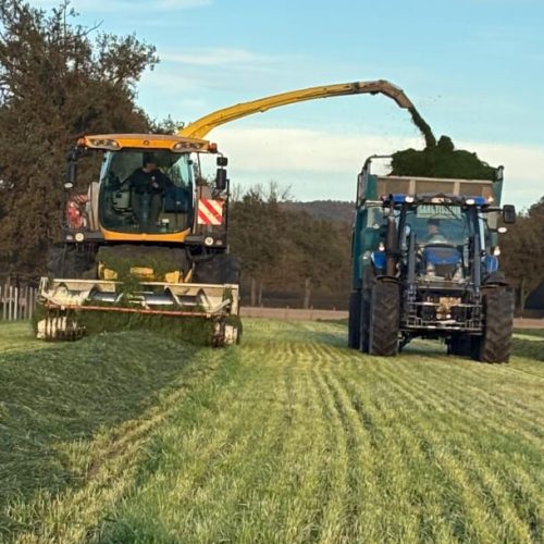 WhatsApp Image 2025-12-15 at 08.49.14