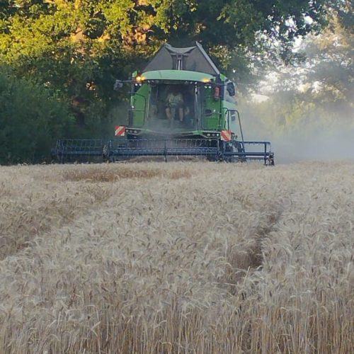 WhatsApp Image 2025-12-15 at 08.52.18