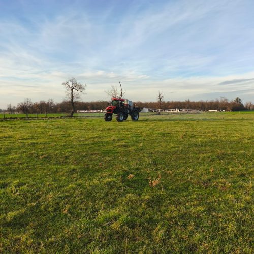 WhatsApp Image 2025-12-15 at 08.57.35