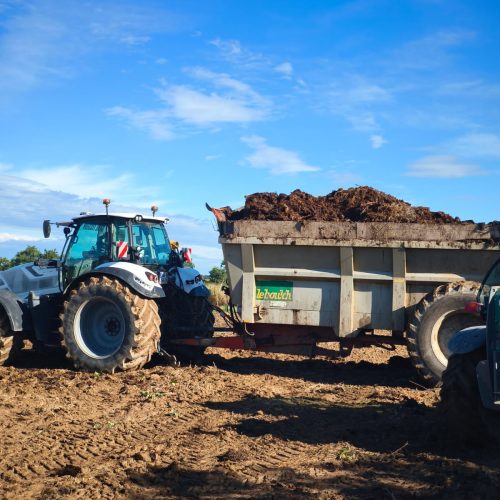 WhatsApp Image 2025-12-15 at 08.58.07