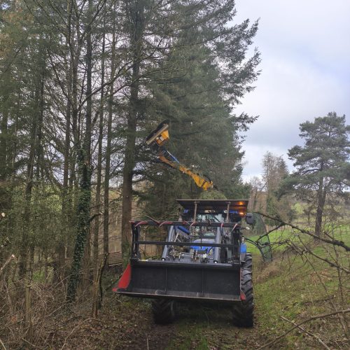 WhatsApp Image 2025-12-15 at 09.02.52