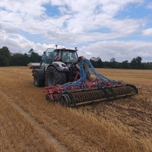 WhatsApp Image 2025-12-15 at 09.08.58