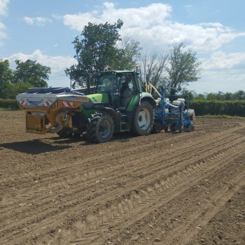 WhatsApp Image 2025-12-15 at 09.09.17